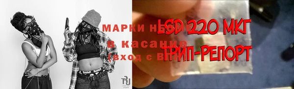 бошки Аркадак