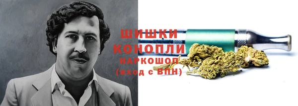 меф Арсеньев