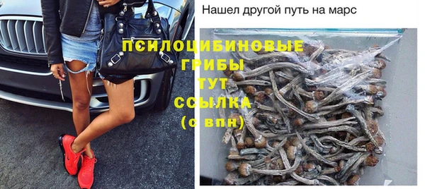меф Арсеньев