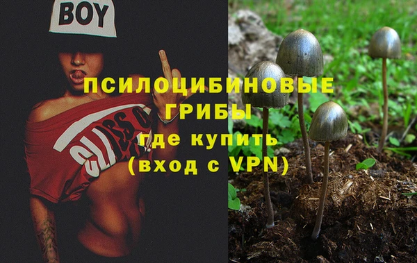 спиды Армянск