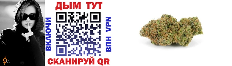 Каннабис VHQ  Купить где  Нолинск 